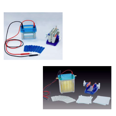 Double vertical electrophoresis cell (injection molding)