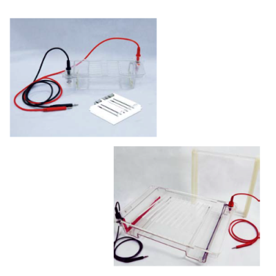 Agarose horizontal electrophoresis cell 