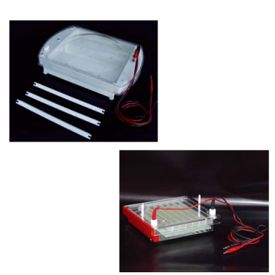 Horizontal electrophoresis cell/ Rapid gel electrophoresis cell