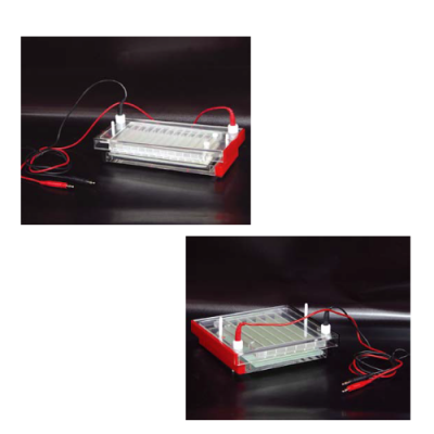 Electrophoresis Cell