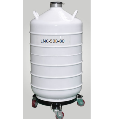 Liquid nitrogen container   