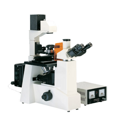 Fluorescence microscope