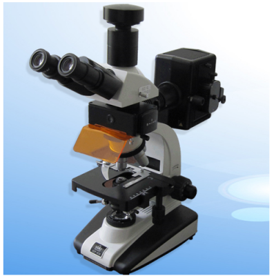 Fluorescence trinocular microscope